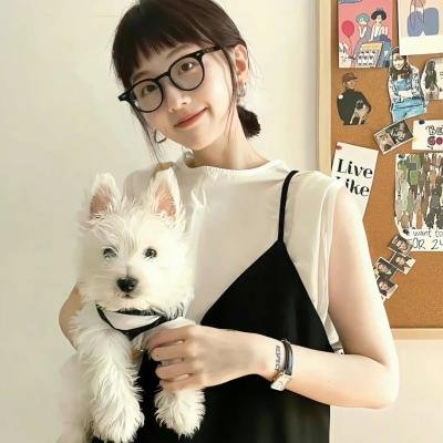 蒂姆与时间悖论 在线观看
